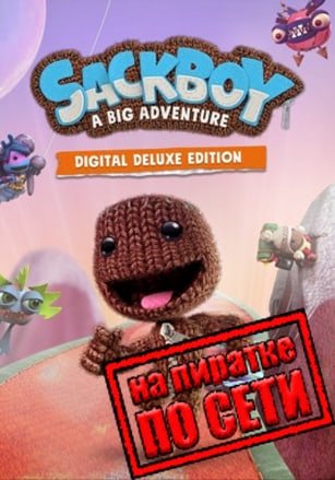 Sackboy: A Big Adventure по сети