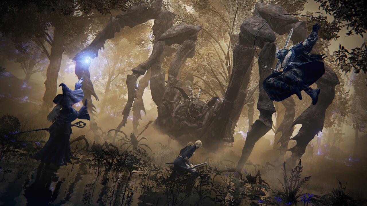 Скриншот ELDEN RING NIGHTREIGN