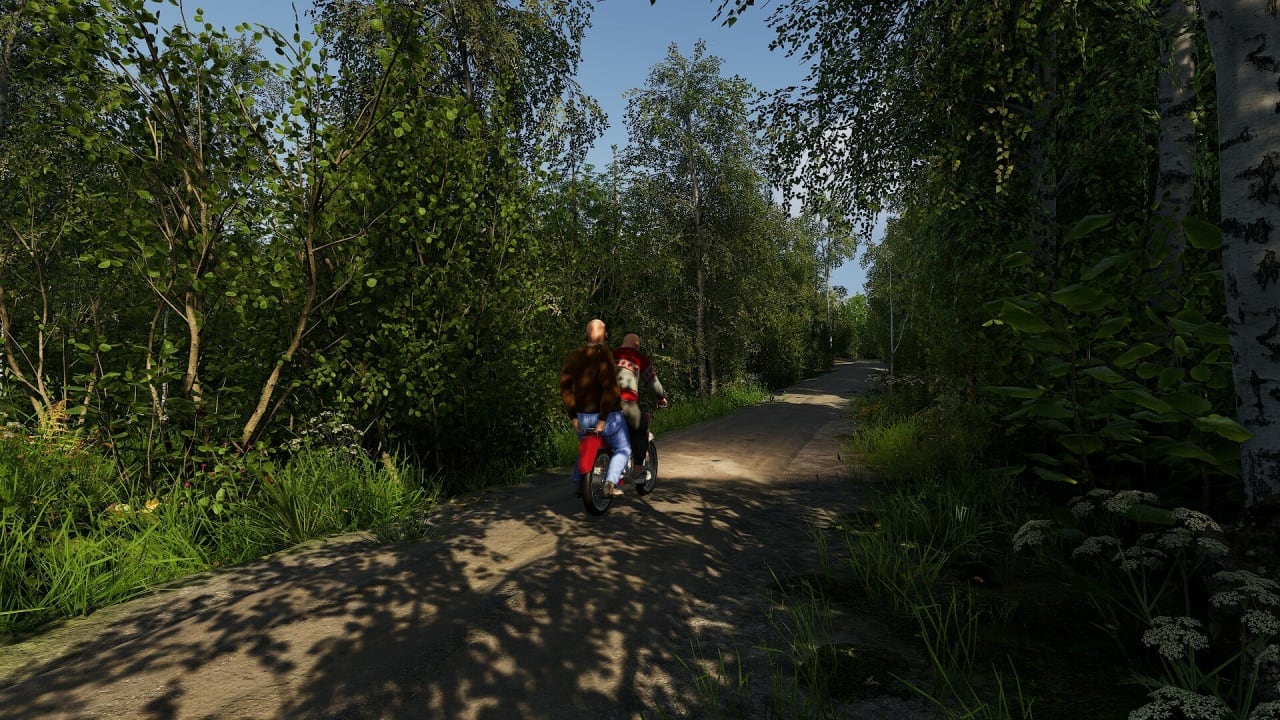 Скриншот Finnish Cottage Simulator