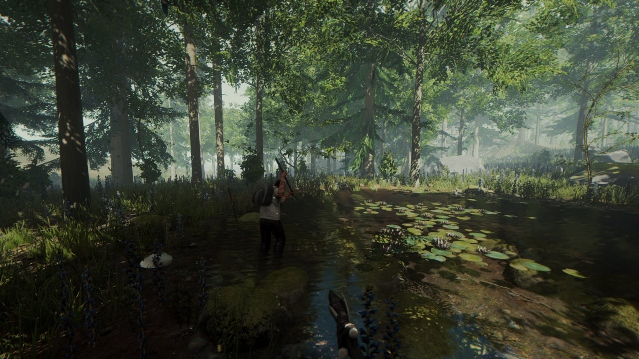 Скриншот The Forest