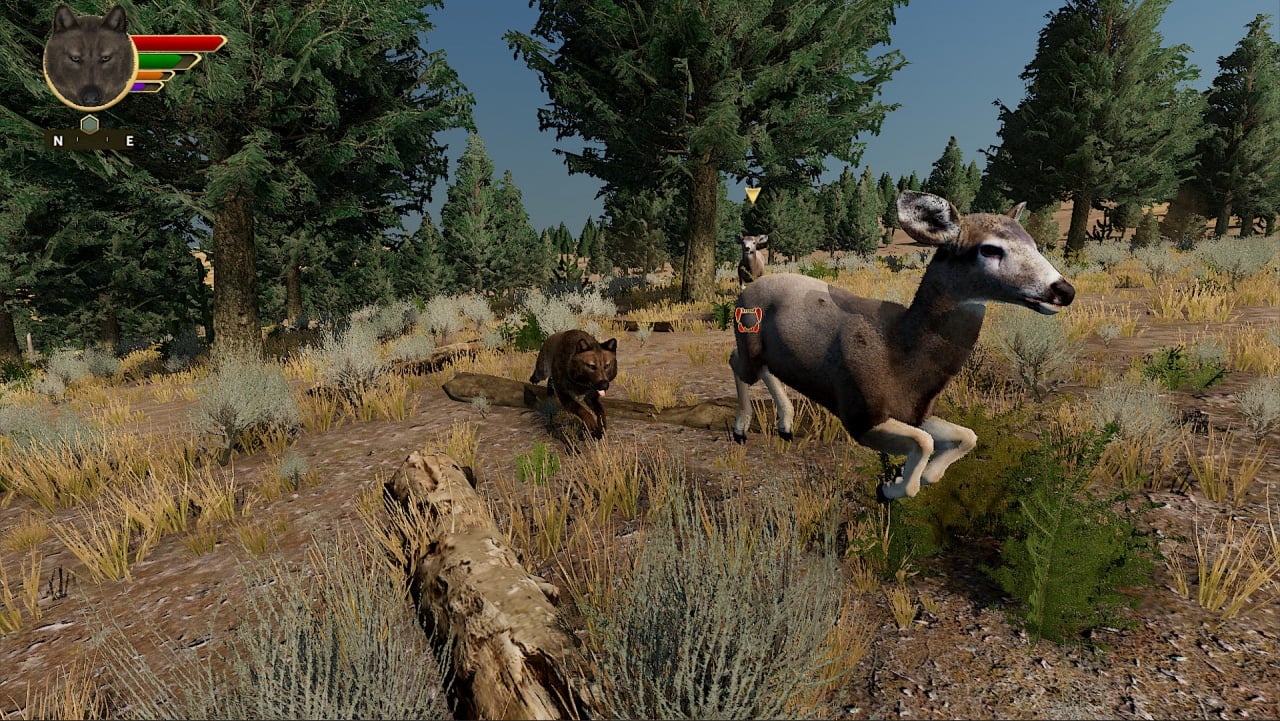 Скриншот WolfQuest: Anniversary Edition