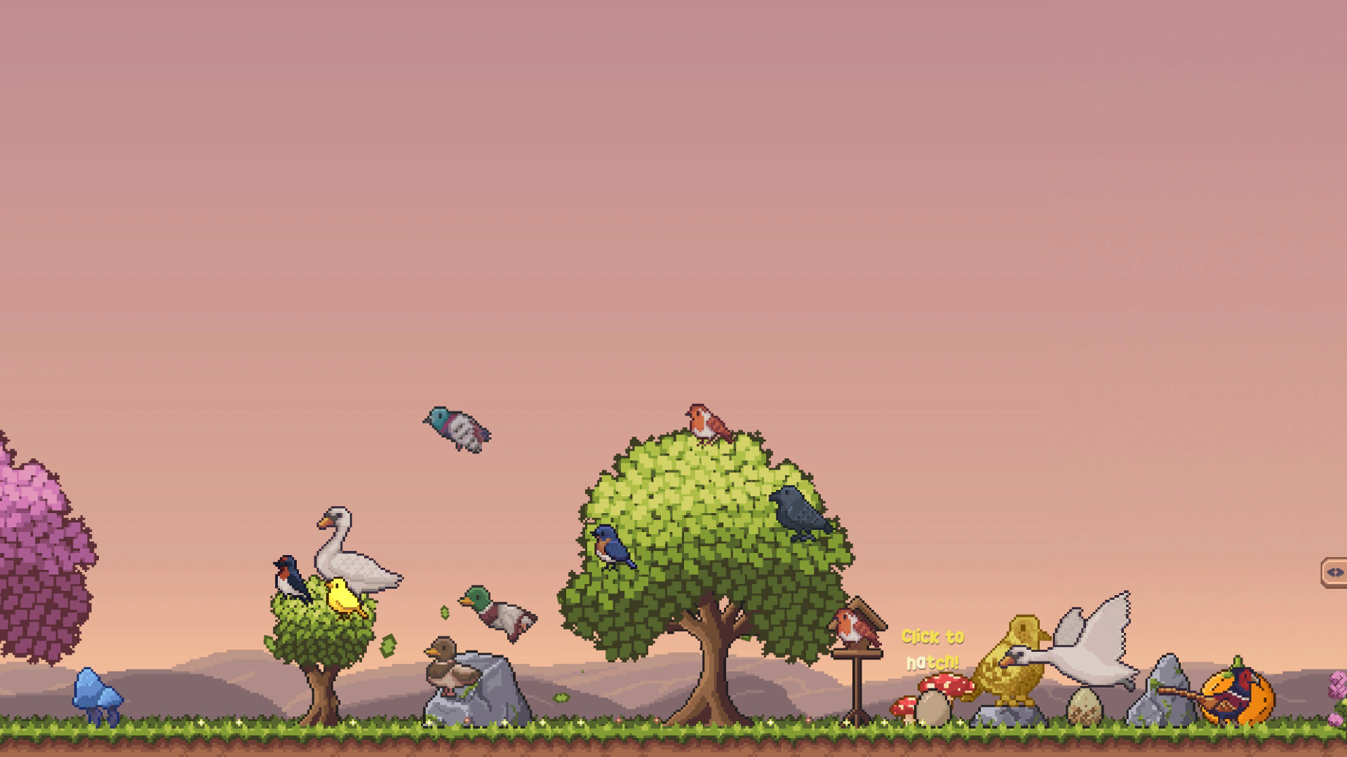 Скриншот Little Aviary (Маленький птичий вольер)